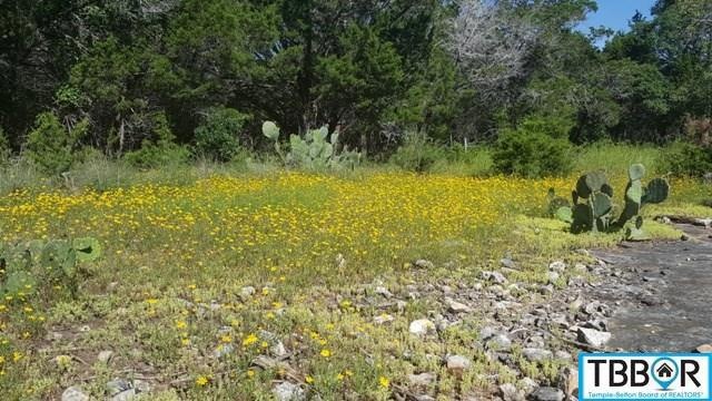 15957 Brazos Dr, Temple, TX 76502 - photo 1