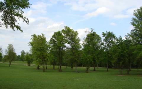 LOT20 Mandiba Dr, Lake City, FL 32024 - photo 1