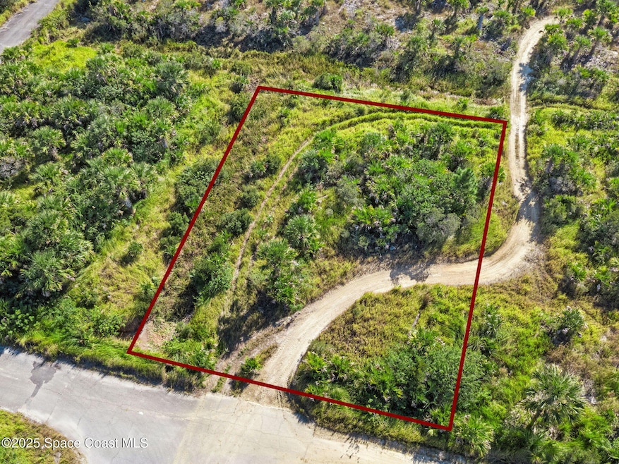 1014 Ponder St SW, Palm Bay, FL 32908 - photo 1