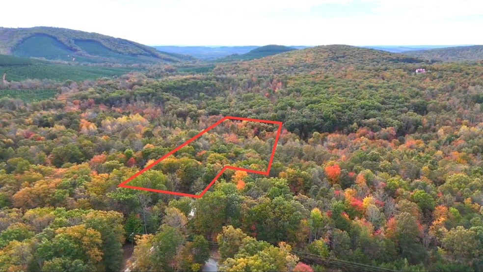 0 Laurel Rd unit 25202402, Shipman, VA 22971 - photo 1