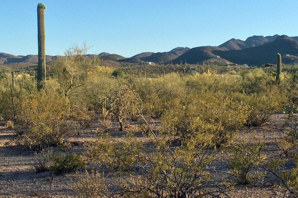 LAZY C RANCH ~ LOT 1