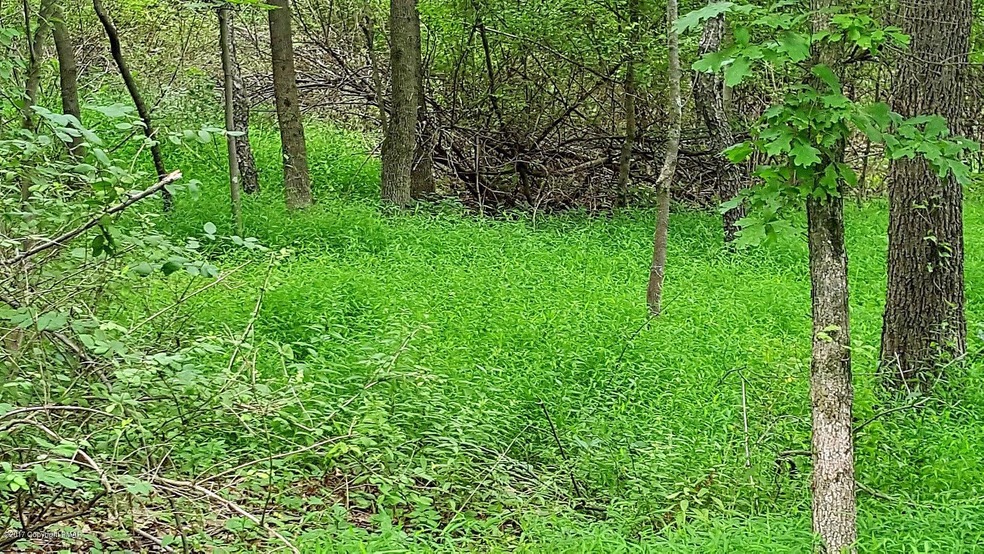 2.07 Acres On Doll Rd, Stroudsburg, PA 18360 - photo 1