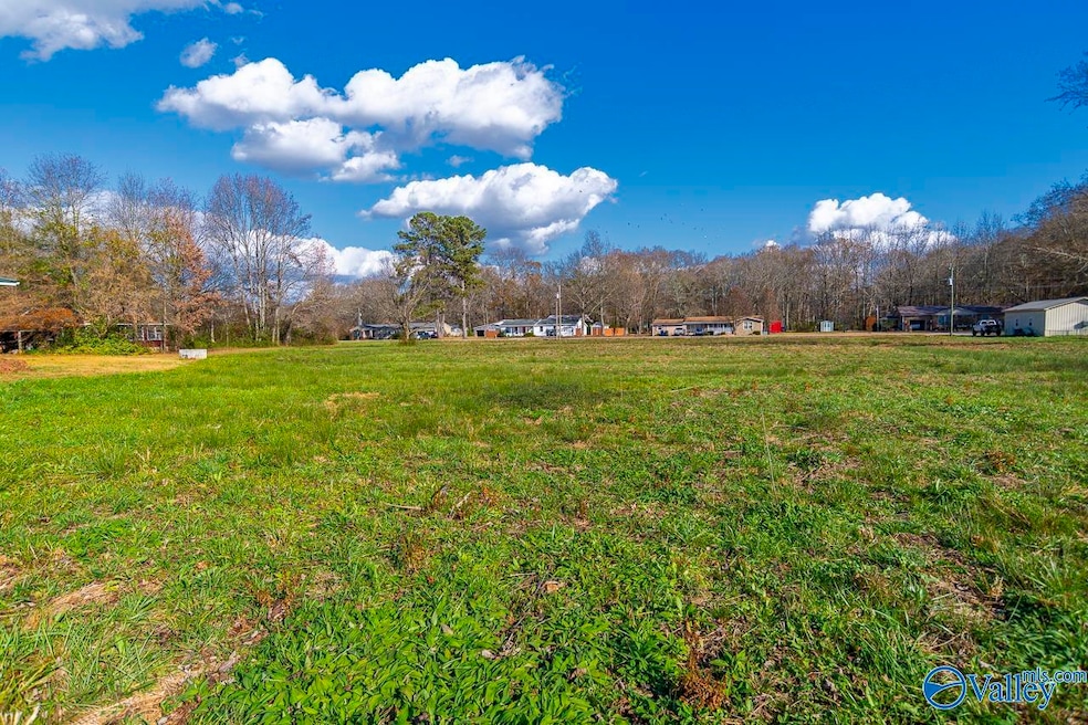 13971 431 U S 231, Hazel Green, AL 35750 - photo 1