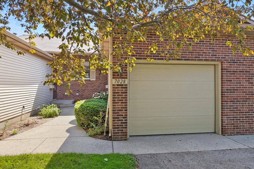 7028 Springtree