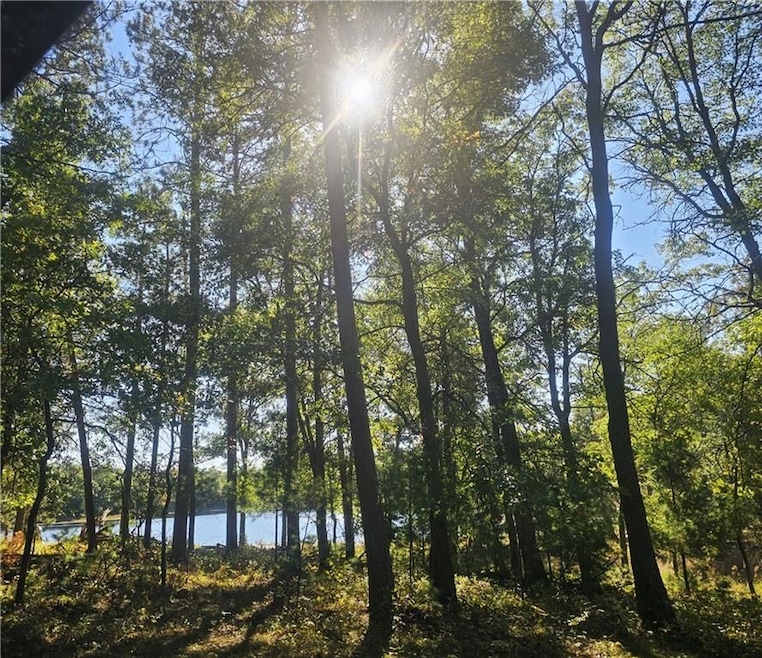 Xxx County Road H, Danbury, WI 54830 - photo 1