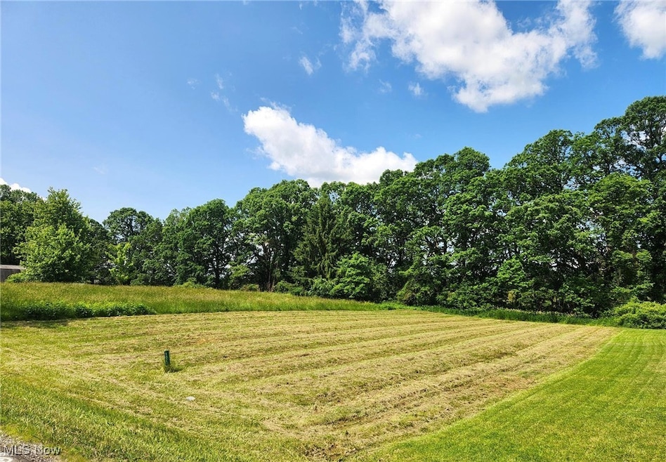 3027 Cinnamon Dr W, West Salem, OH 44287 - photo 1