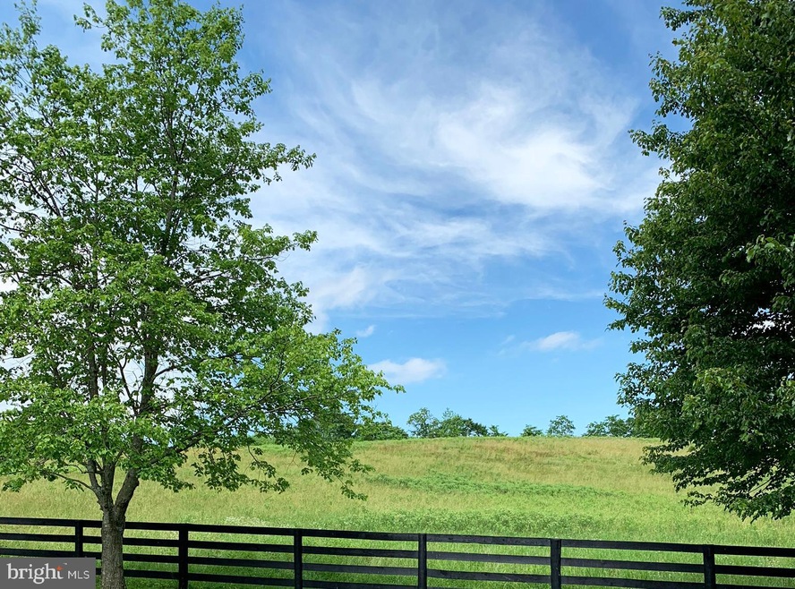 4449 Mountain Laurel Ln, Marshall, VA 20115 - photo 1