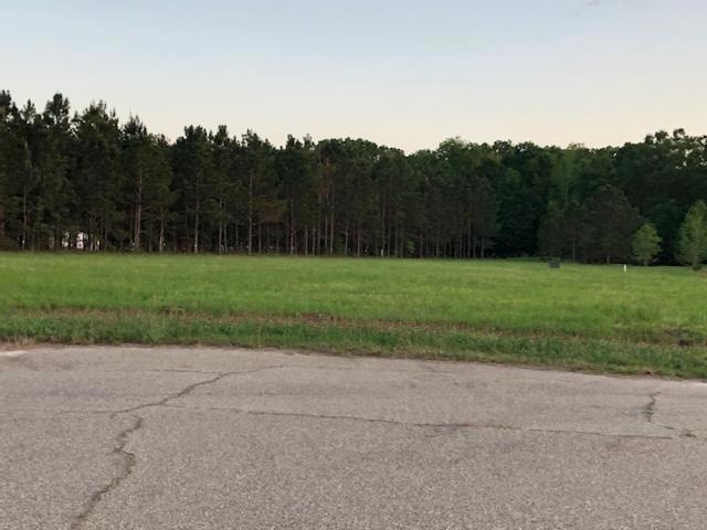 105 Paces Ln, Boston, GA 31626 - photo 1