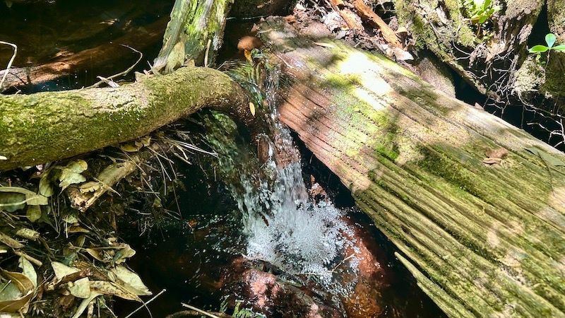 4264 Cleveland Rd unit LotWP001, Milton, FL 32570 - photo 1