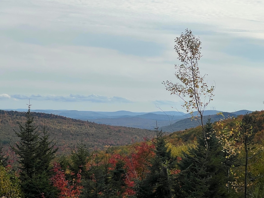 Mtn Views_3660 (1)