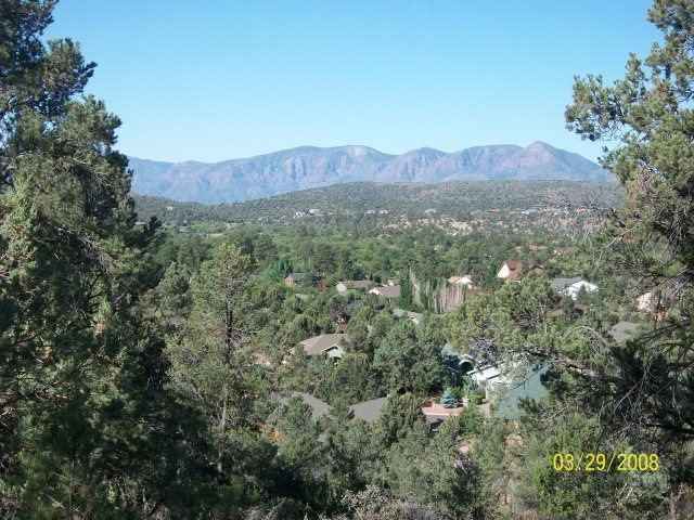Primary Photo