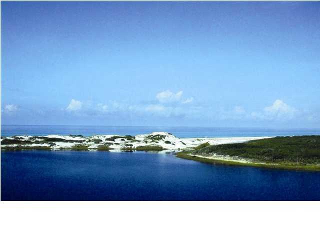 Primary Photo