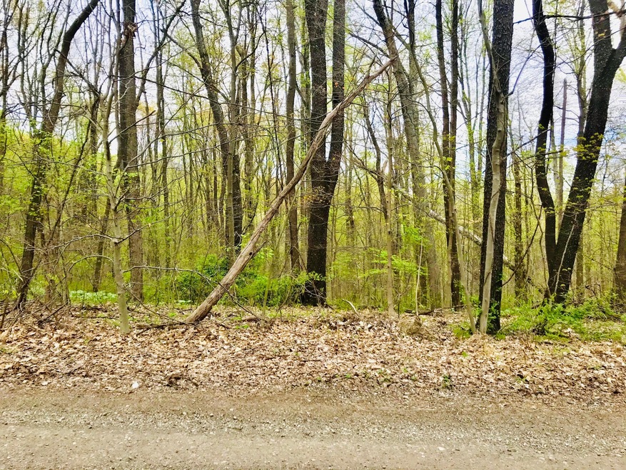 IMG-2106