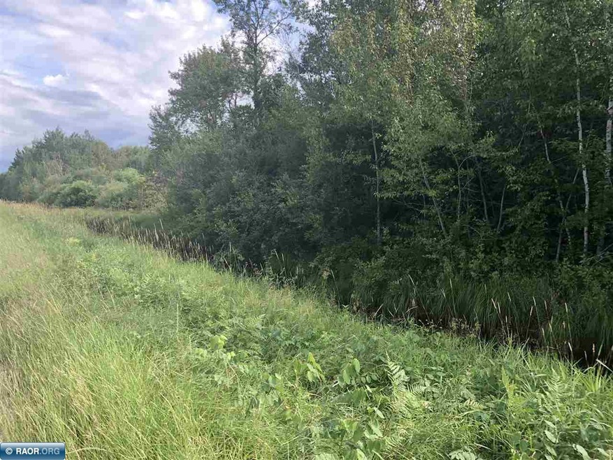 TBD Dass Rd, Meadowland, MN 55765 - photo 1