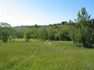 3 Bear Creek Rd, Lawrenceburg, KY 40342 - photo 1