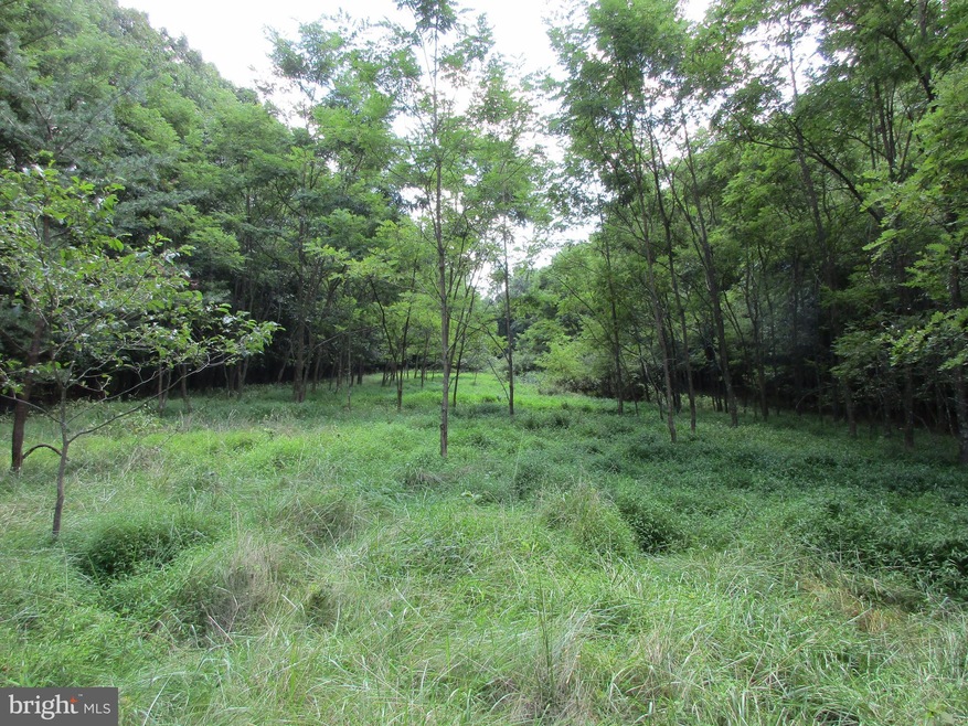 0 Tabor Rd unit 1000202295, Berkeley Springs, WV 25411 - photo 1