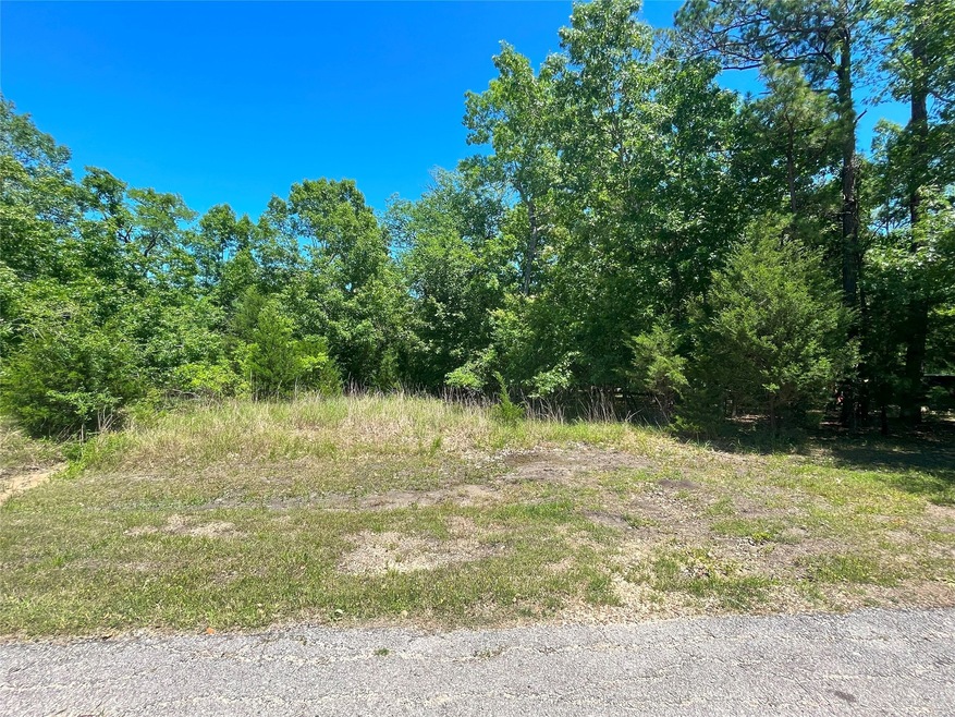 267 N Forest Cove Loop, Coldspring, TX 77331 MLS 40889407