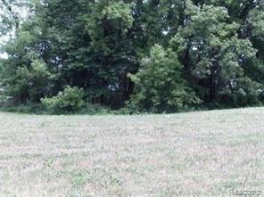 silver lake vacant pic.jpg