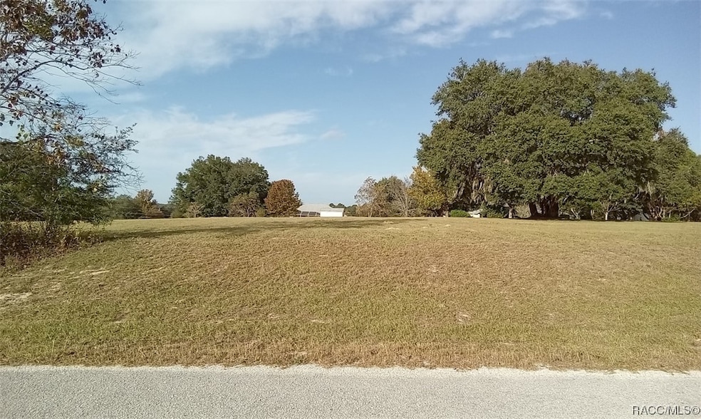 3172 N Boswell Terrace, Hernando, FL 34442 - photo 1