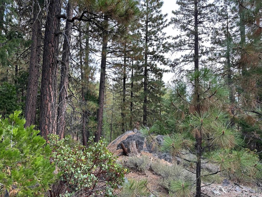 Sold $96,000 • Co-Listing Agent