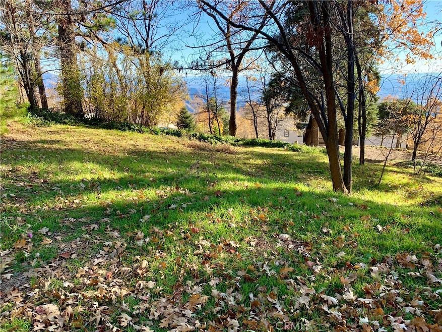 40 Park Dr, Running Springs, CA 92382 - photo 1