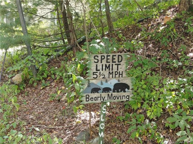 Level lot,easy build with paved road access.