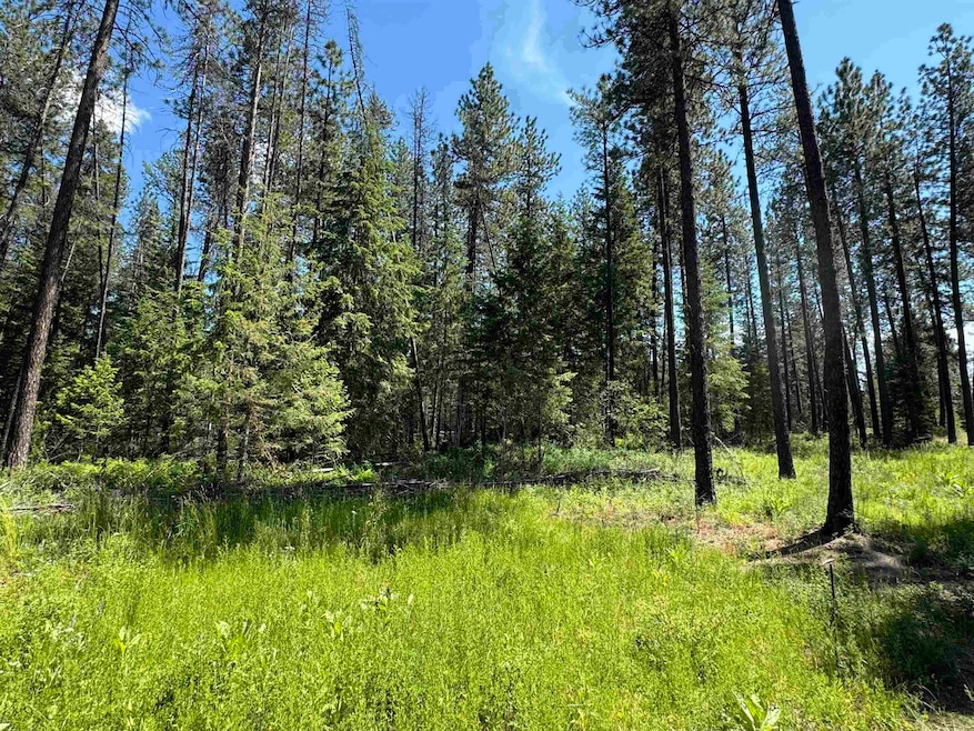 610 N A St unit Lot 2, Springdale, WA 99173 - photo 1