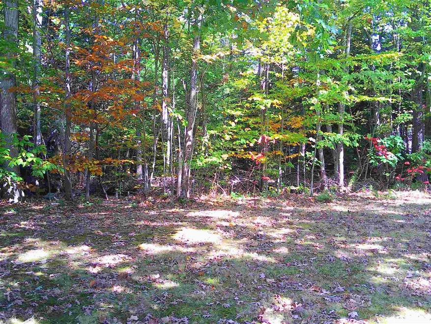 Lot 61A Colony Dr, Barnstead, NH 03225 - photo 1