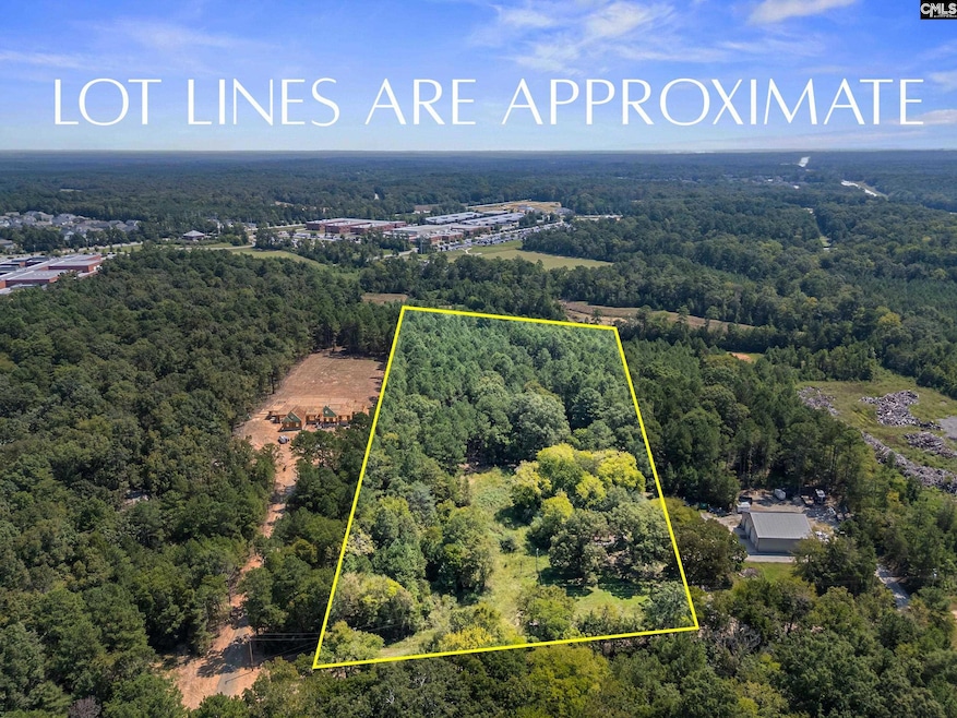 0 Mt Olivet Church Rd unit 617090, Chapin, SC 29036 - photo 1