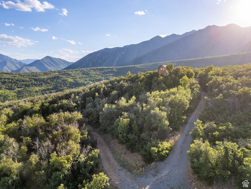 2000 Oakwood Dr unit 1, Springville, UT 84663 - photo 1