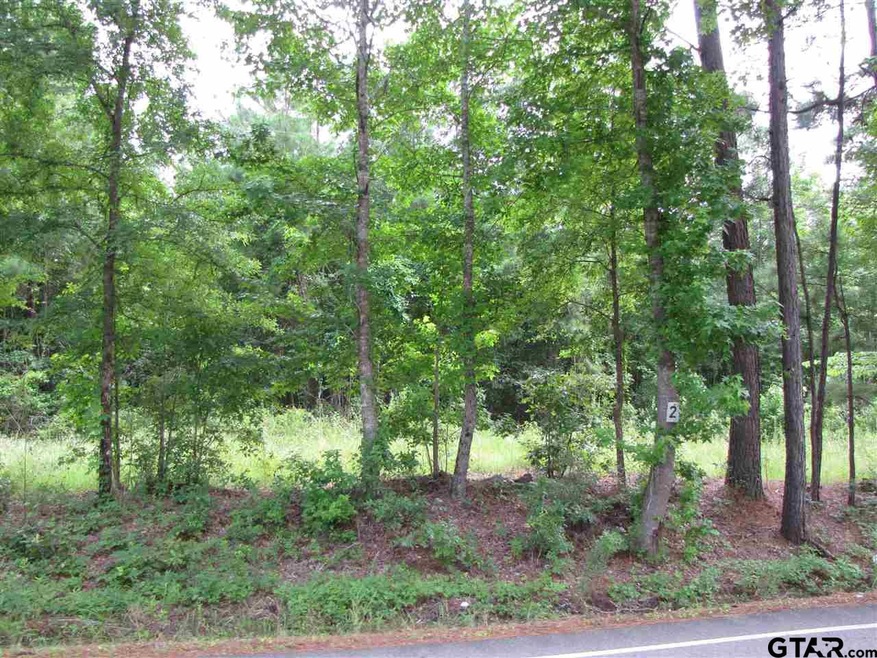 20312 Fm 850, Arp, TX 75750 - photo 1