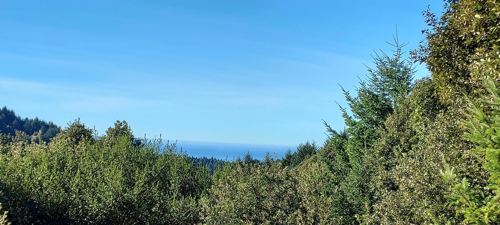 Ocean View!