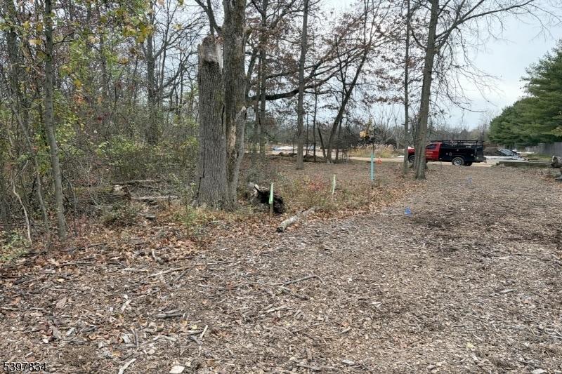 8 Reasoner Ln, Flemington, NJ 08822 - photo 1