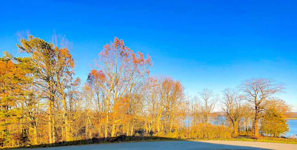 Lot 6 Alberts Cove, Rutledge, TN 37861 - photo 1