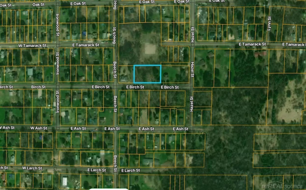 210 E Birch St, Ironwood, MI 49938 - photo 1