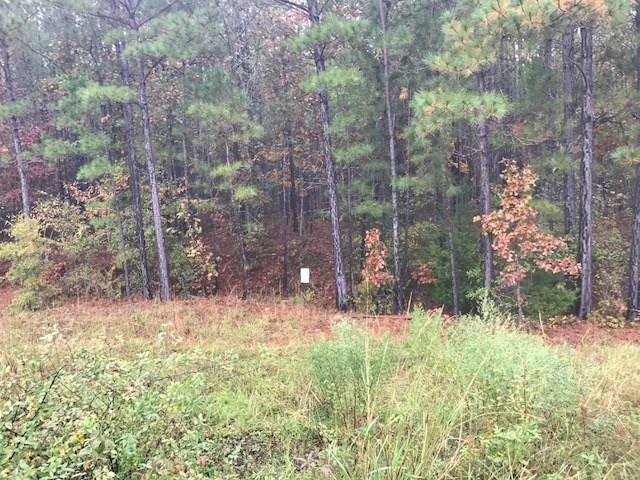 1066 Clint Williams Rd, Lincolnton, GA 30817 - photo 1