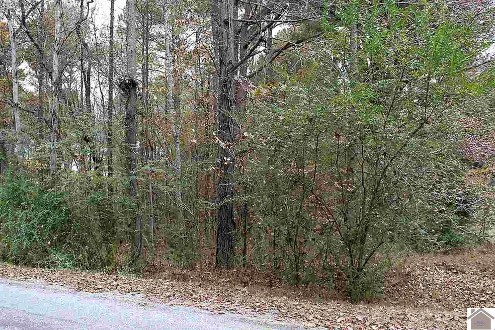 Lot 111 Lime Dr, Murray, KY 42071 - photo 1