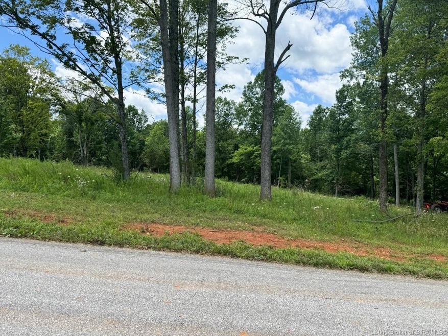 4.11 +/- AC Shewmaker Ln SE, Webster Township, IN 47117 - photo 1