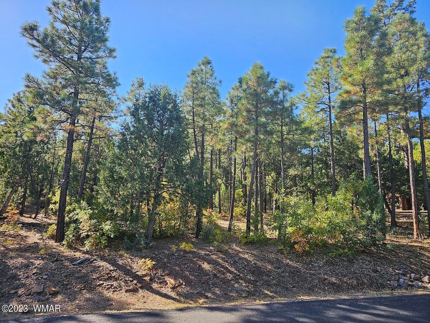 3251 W Sage Lane, Show Low, AZ 85901