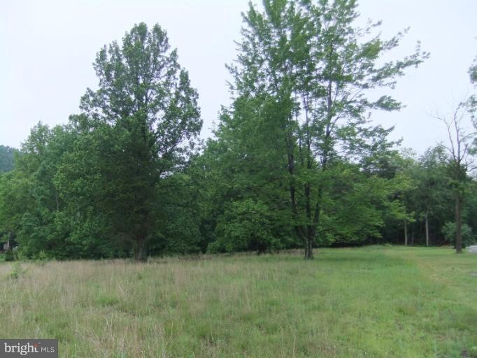 0 Buck Valley and Old 126 Rd unit 1000146177, Warfordsburg, PA 17267 - photo 1