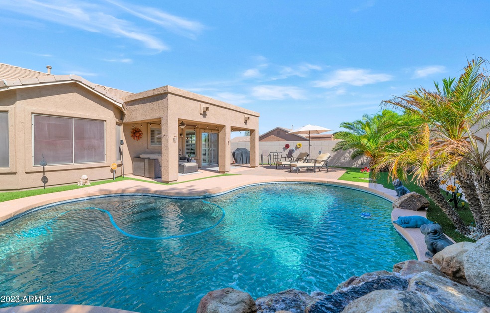 Backyard oasis
