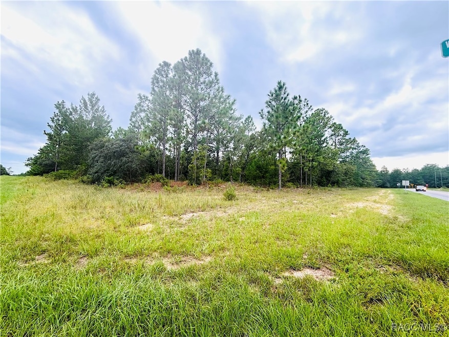 4021 W Malaluka Cir, Dunnellon, FL 34433 - photo 1