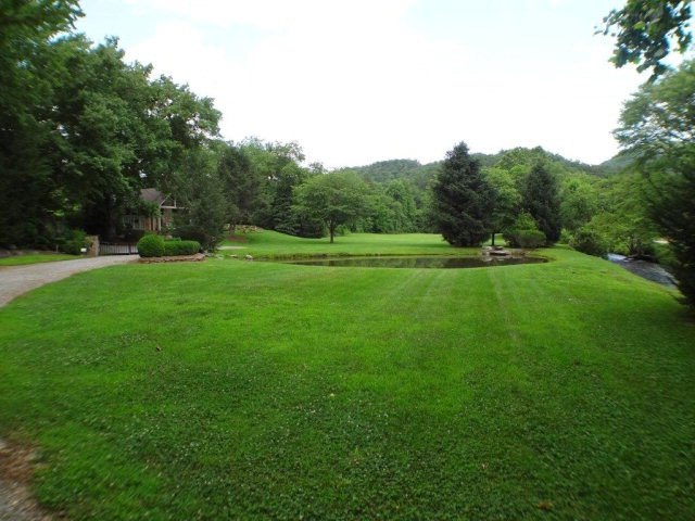 Main View