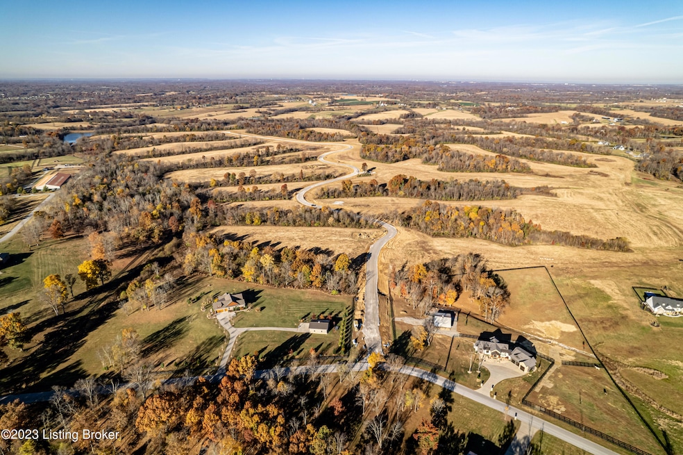 DJI_0598