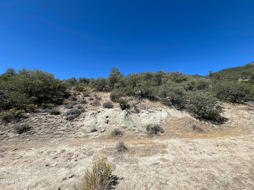 Martin land photo 1