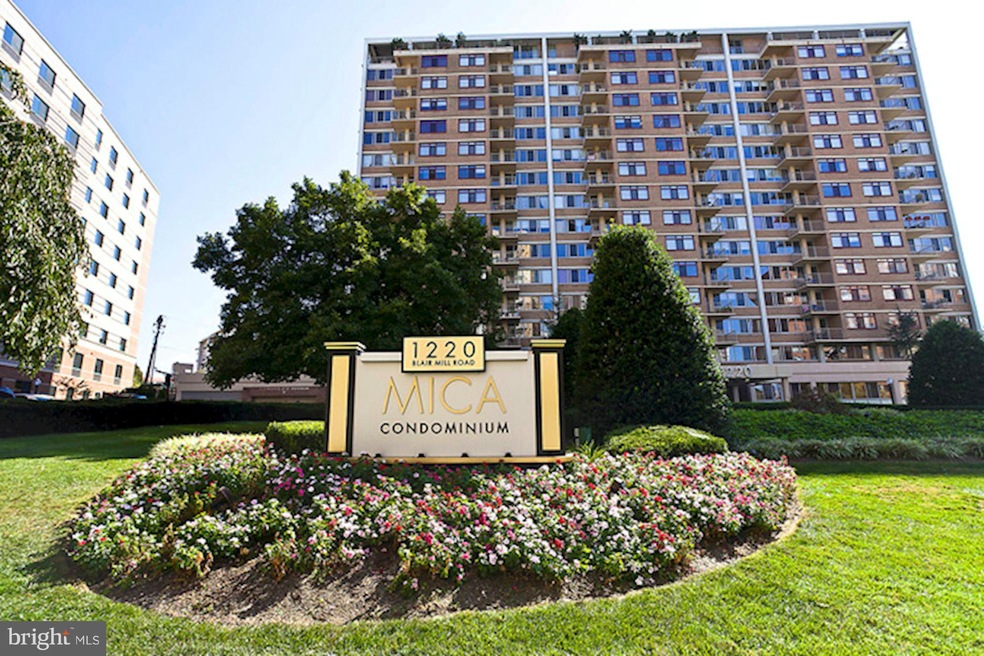 Mica Condominiums unit 119, Silver Spring, MD 20910 - photo 1