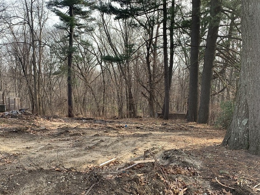 71 Aberdeen Rd, Springfield, MA 01109 - photo 1