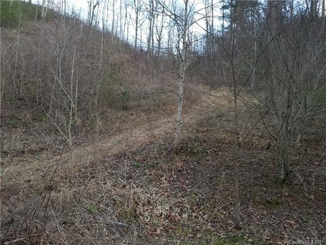 Existing Driveway to home site