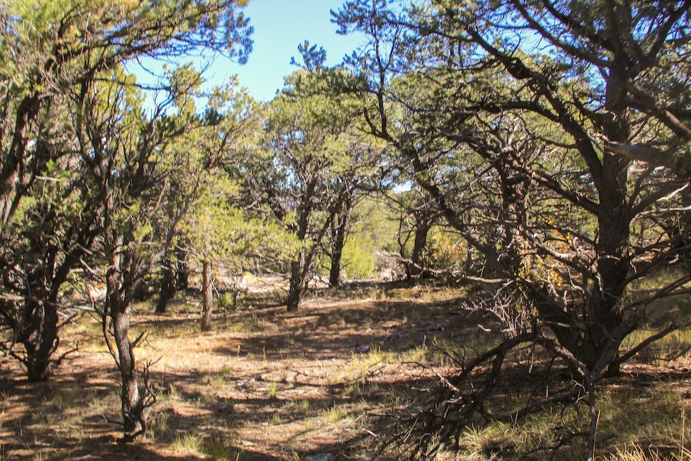 Marenman Rd, Fort Garland, CO 81133 - photo 1