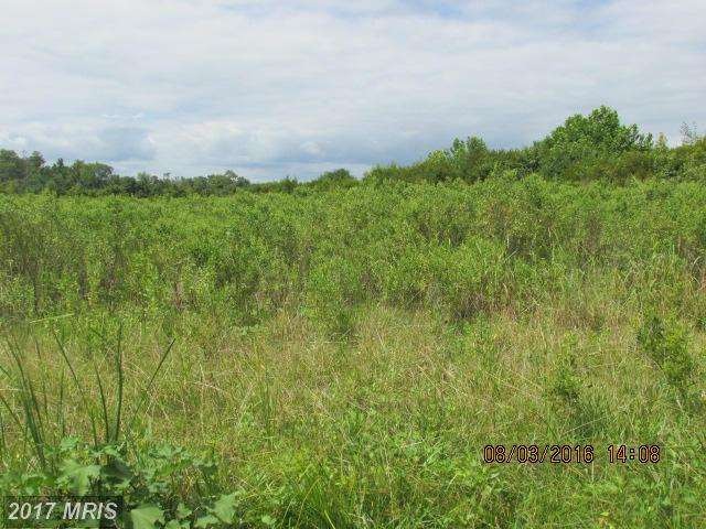 0 Fort Lowry Ln unit 1001332607, Dunnsville, VA 22454 - photo 1